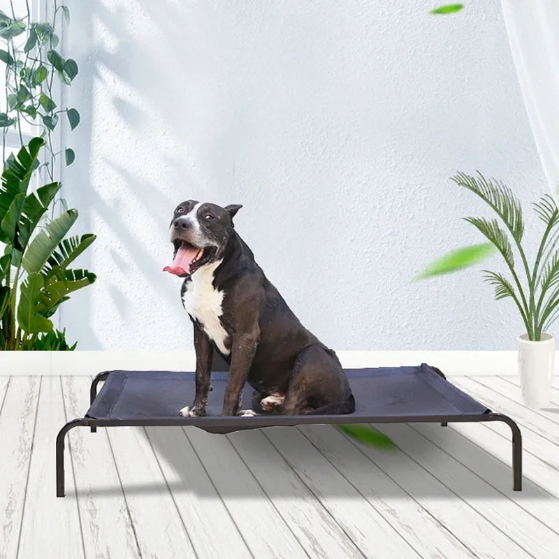Cama Elevada Altura Para Mascota Perro Gato Talla L - Negro