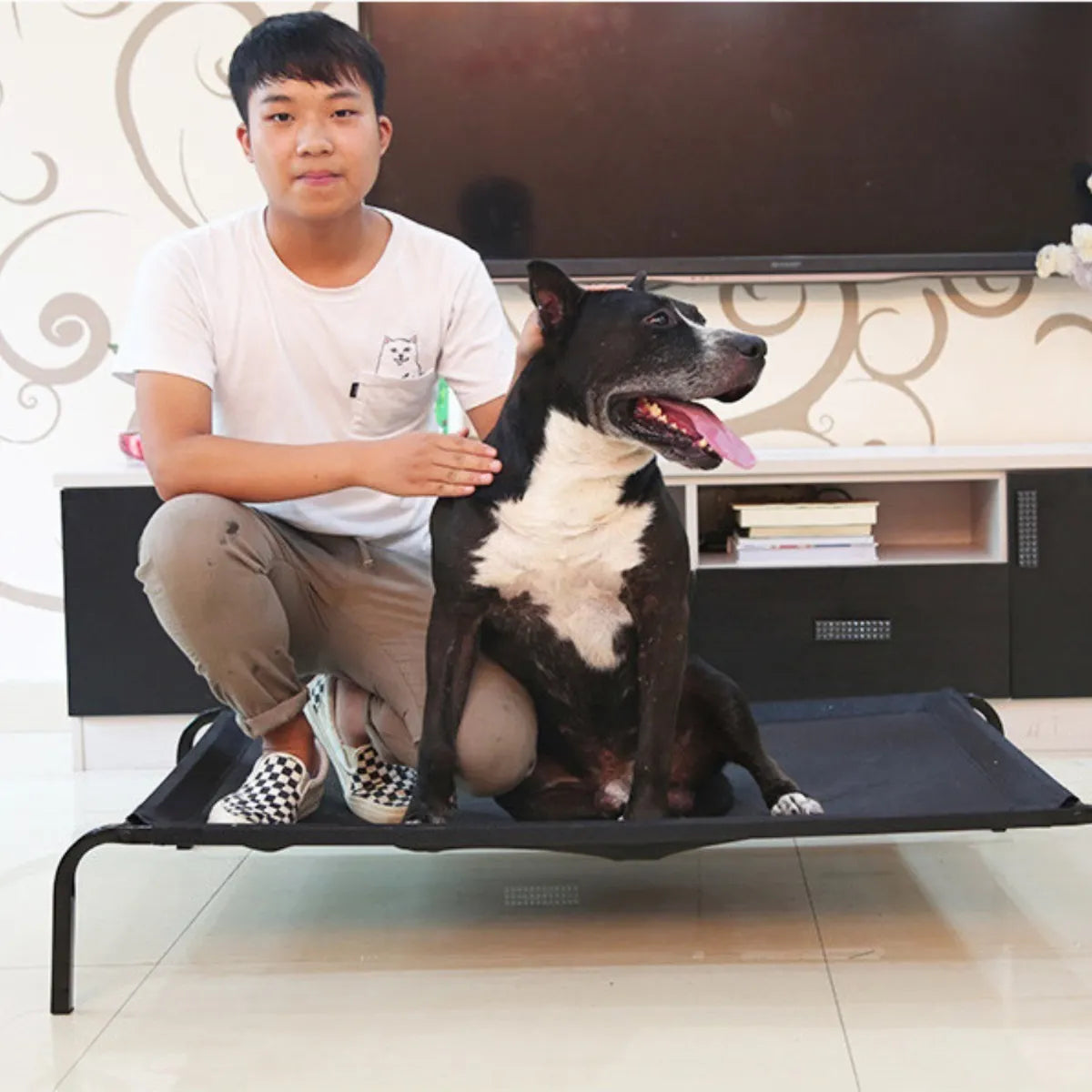 Cama Elevada Altura Para Mascota Perro Gato Talla L - Negro
